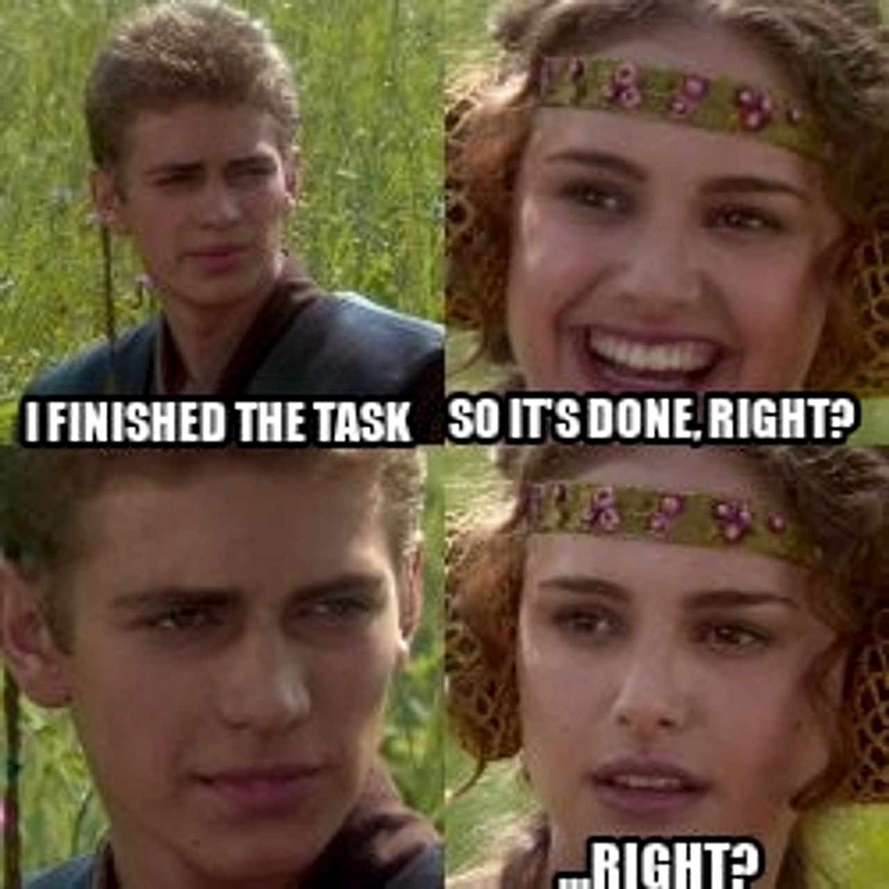 Anakin Padme 4 Panel seeded example
