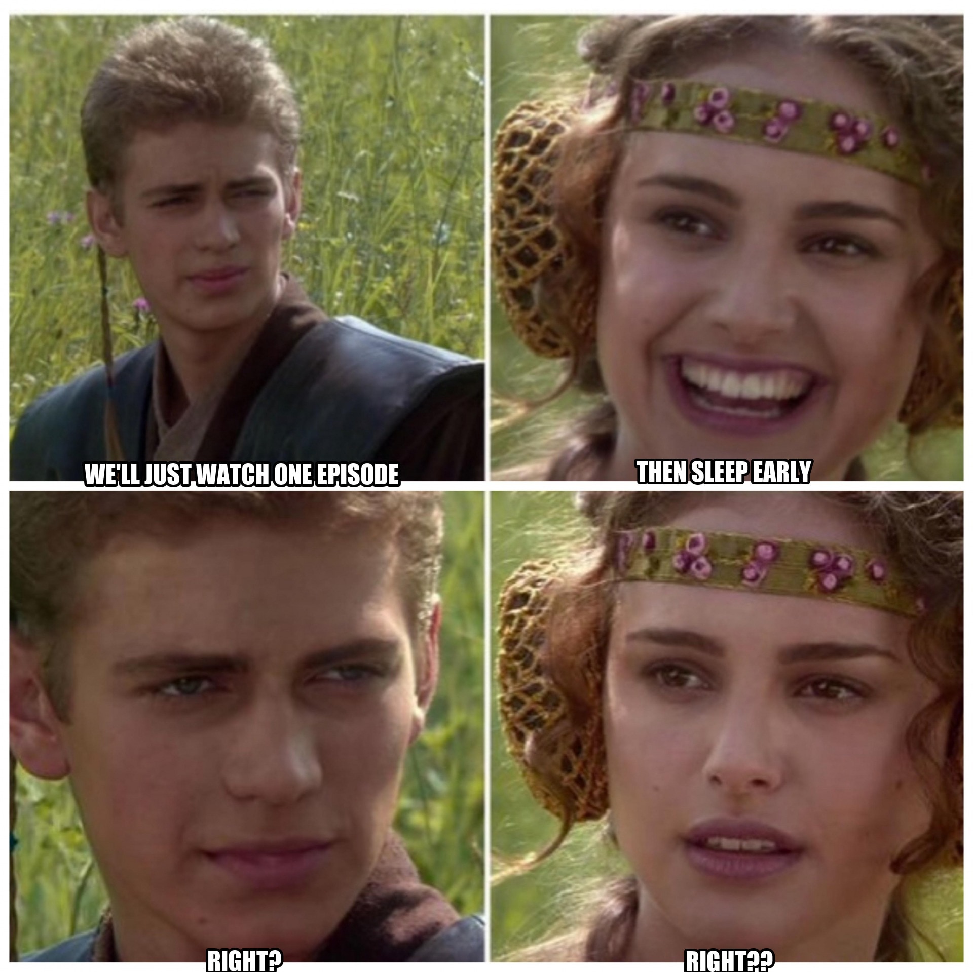 Anakin Padme Meme seeded example