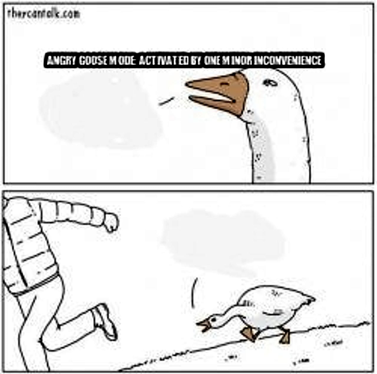 Angry goose seeded example