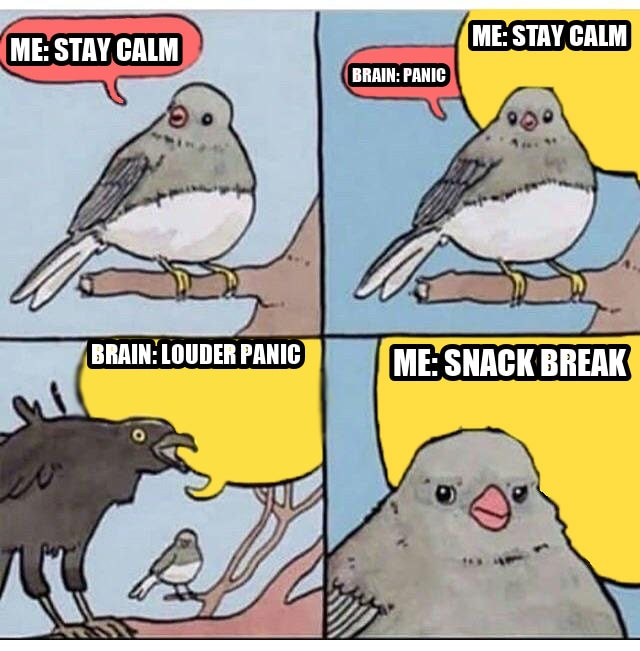 annoyed bird seeded example