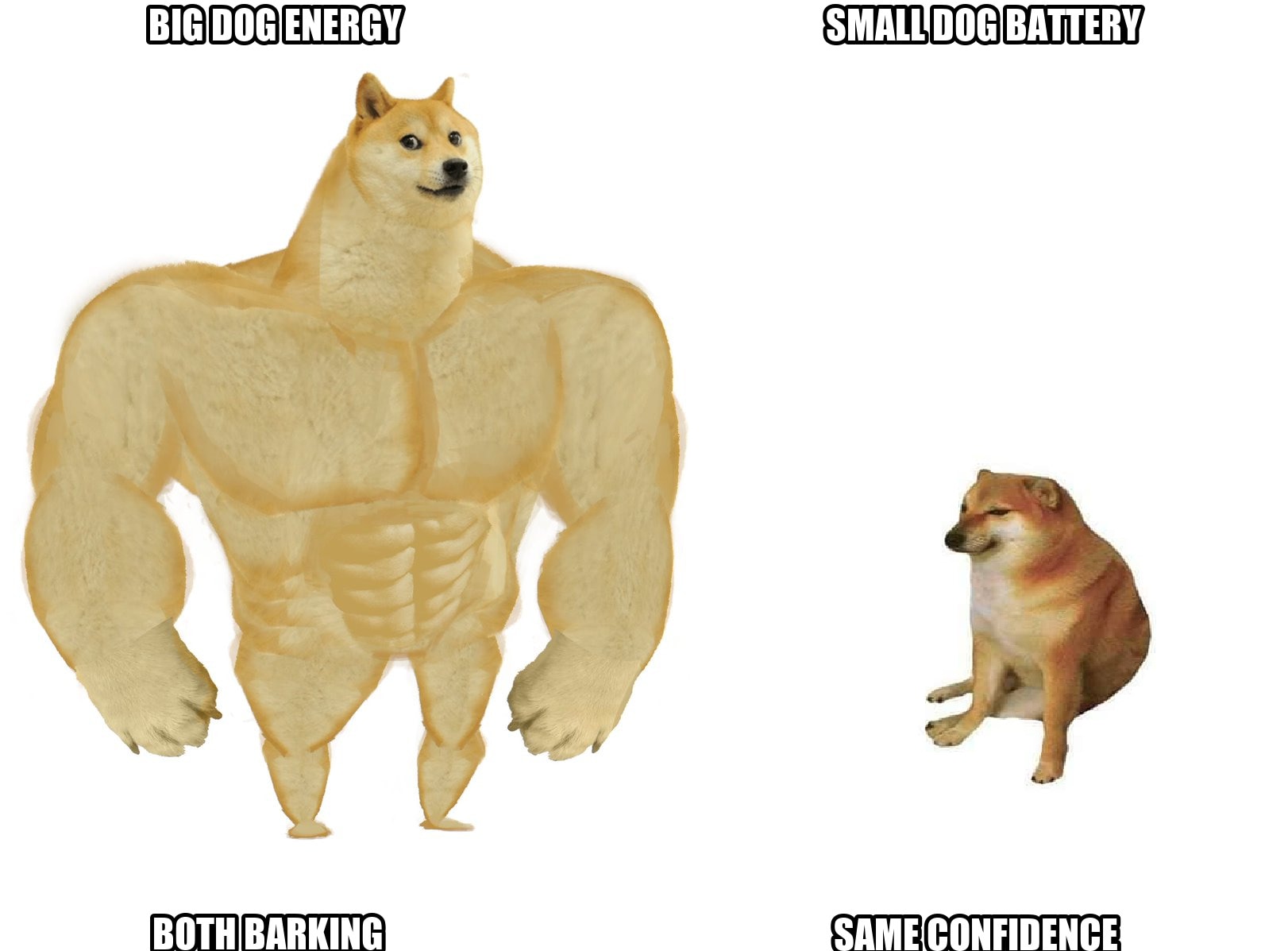 Big dog small dog seeded example