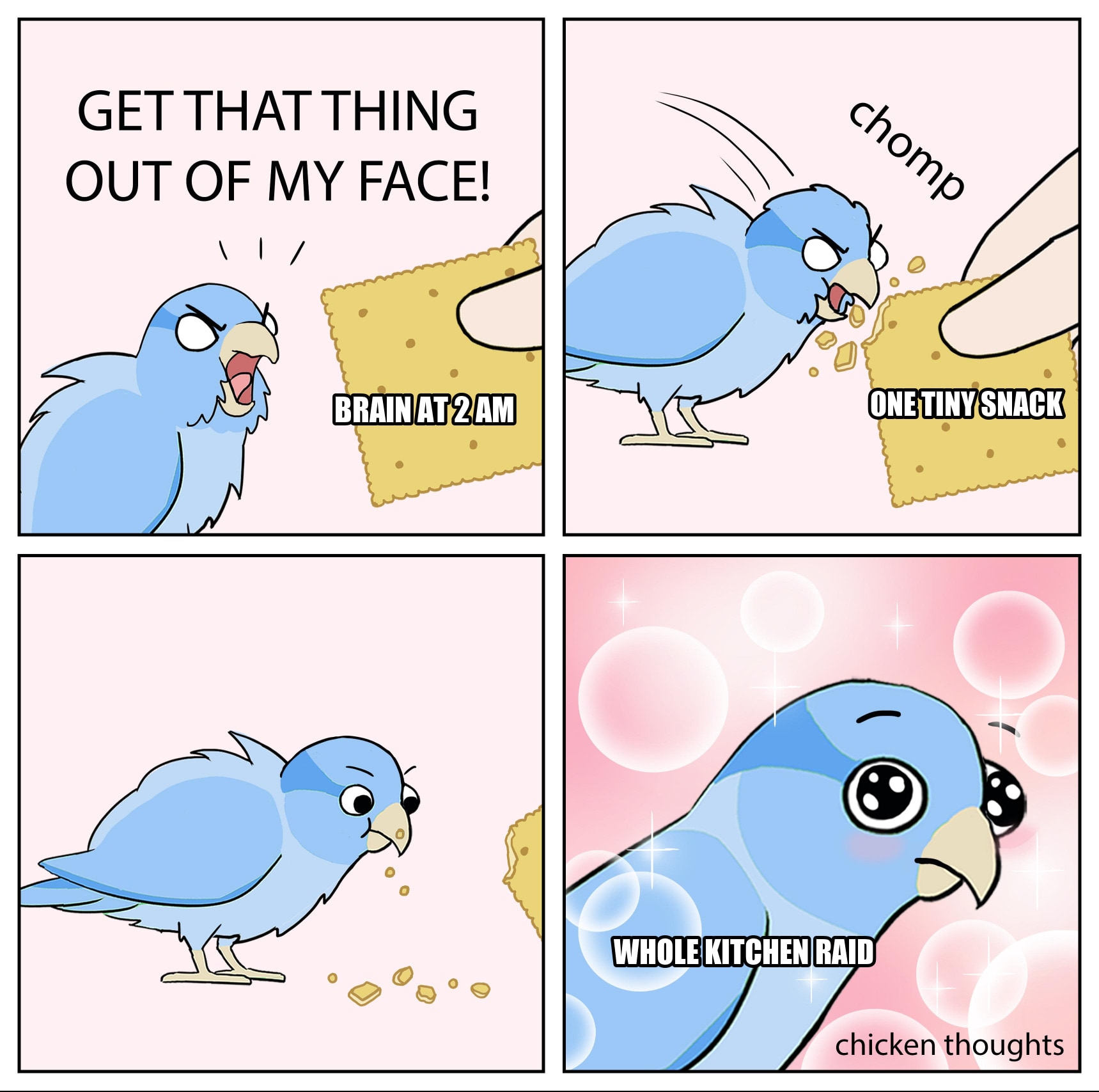 Bird Cracker seeded example