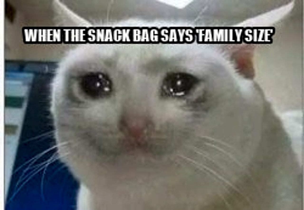 crying cat seeded example