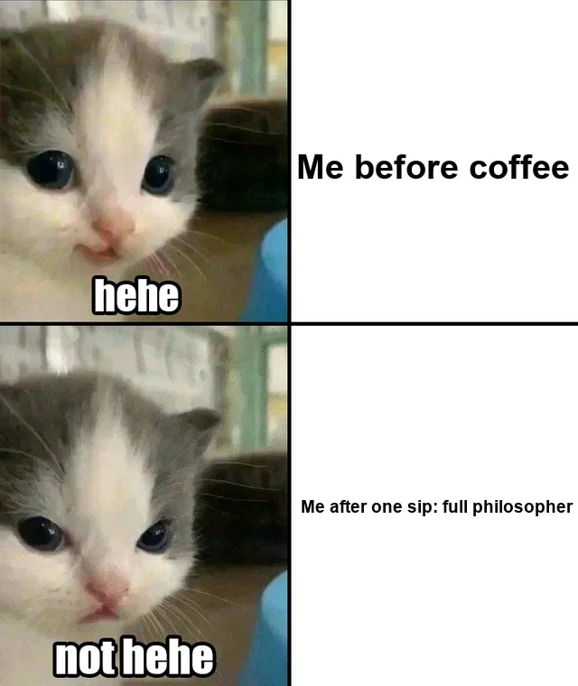 Cute cat hehe and not hehe seeded example