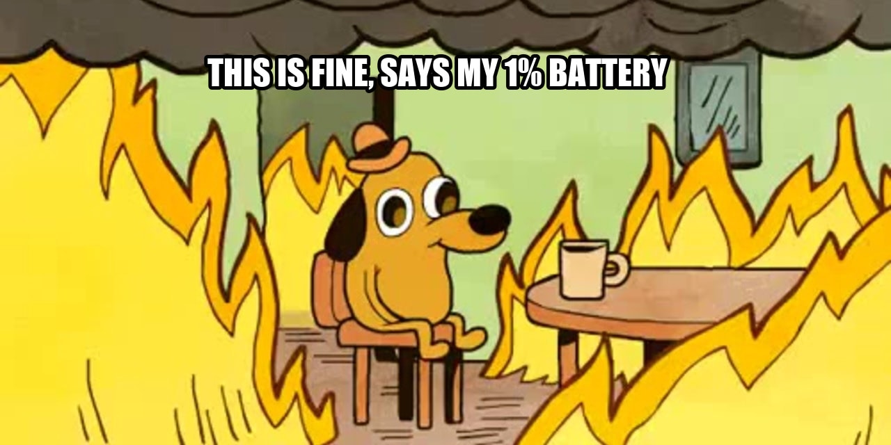 Dog on fire seeded example