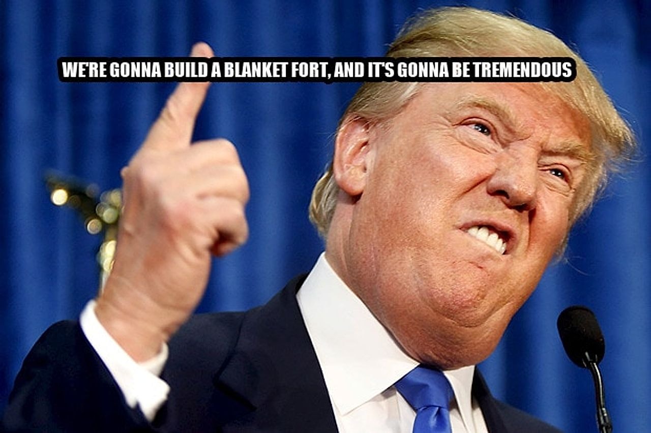 Donald Trump seeded example