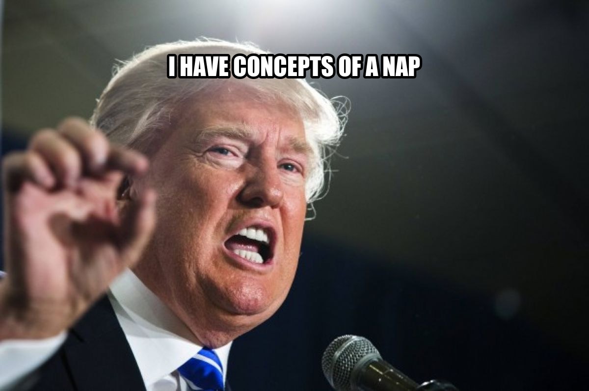 donald trump seeded example