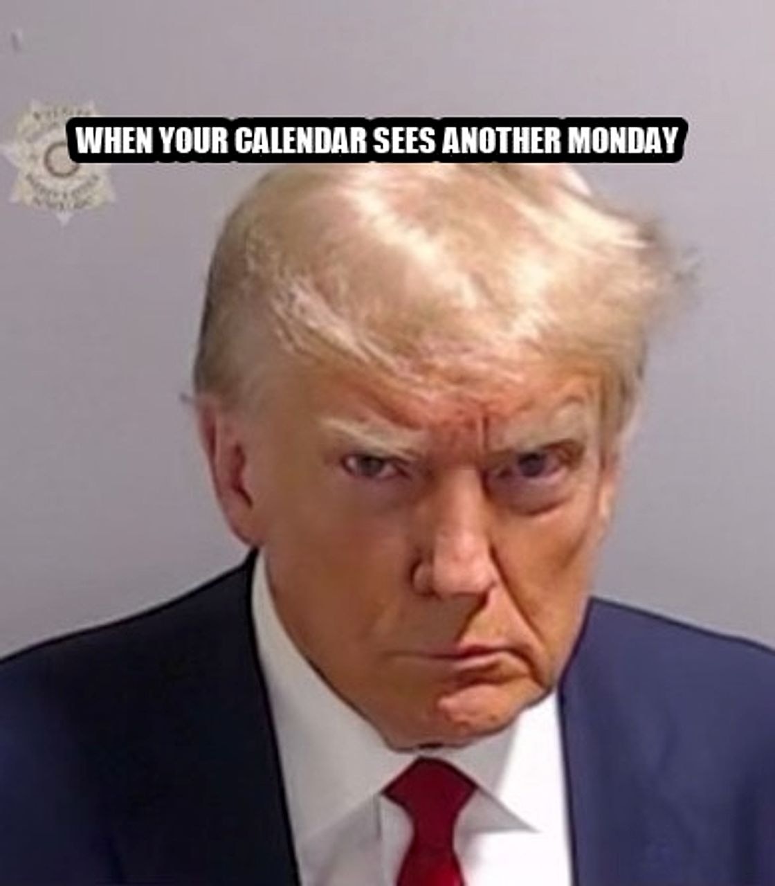 Donald Trump Mugshot seeded example