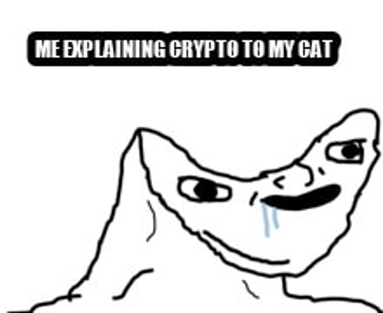 Dumb Wojak seeded example