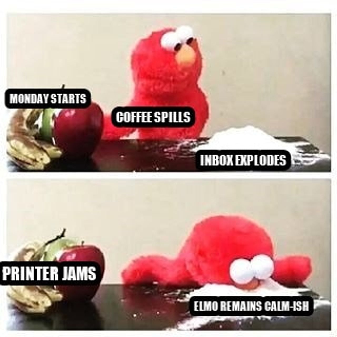 elmo cocaine seeded example