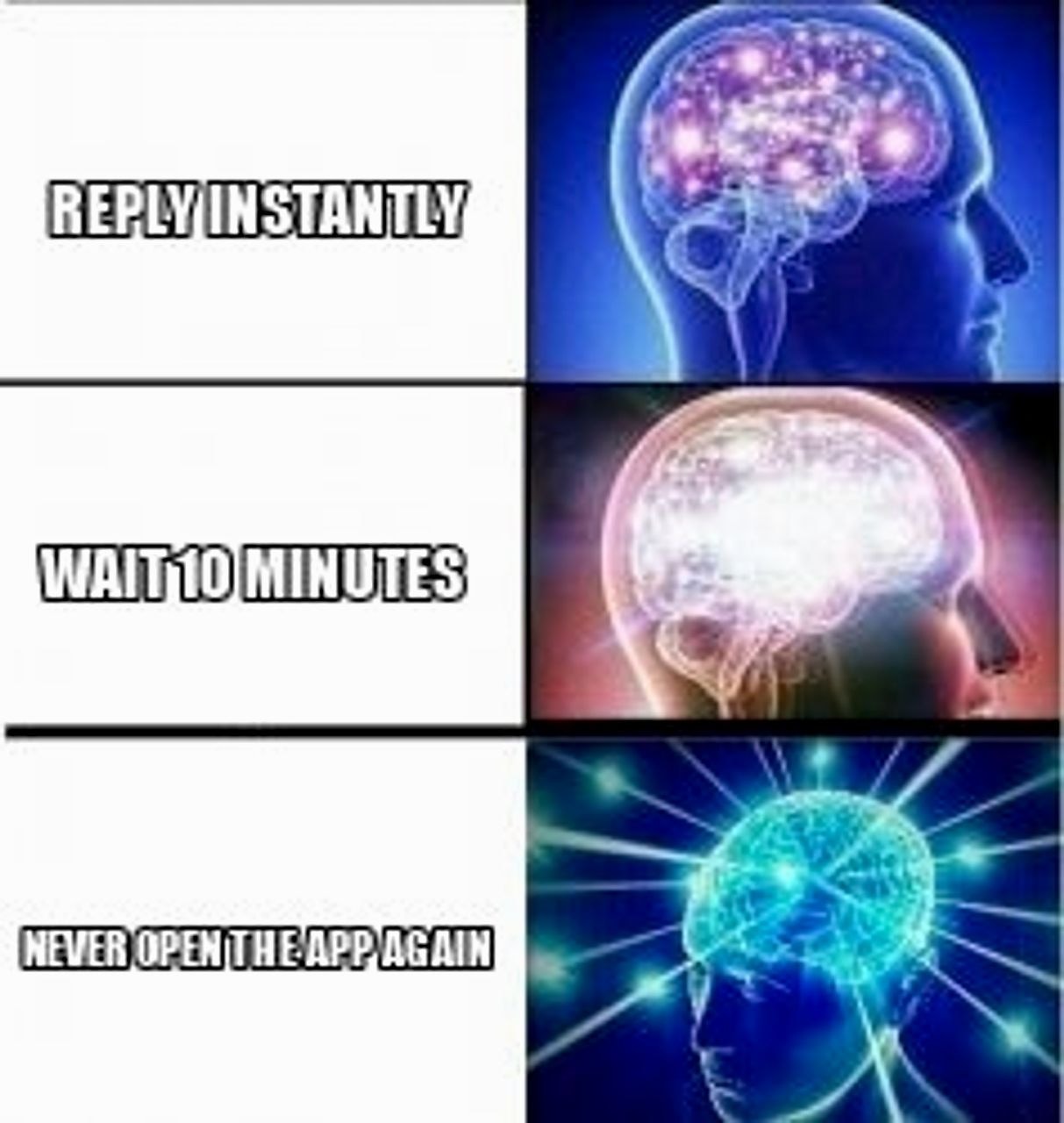 Expanding brain 3 panels seeded example