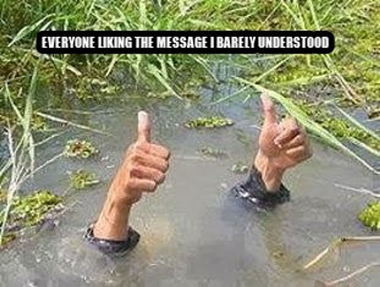FLOODING THUMBS UP seeded example