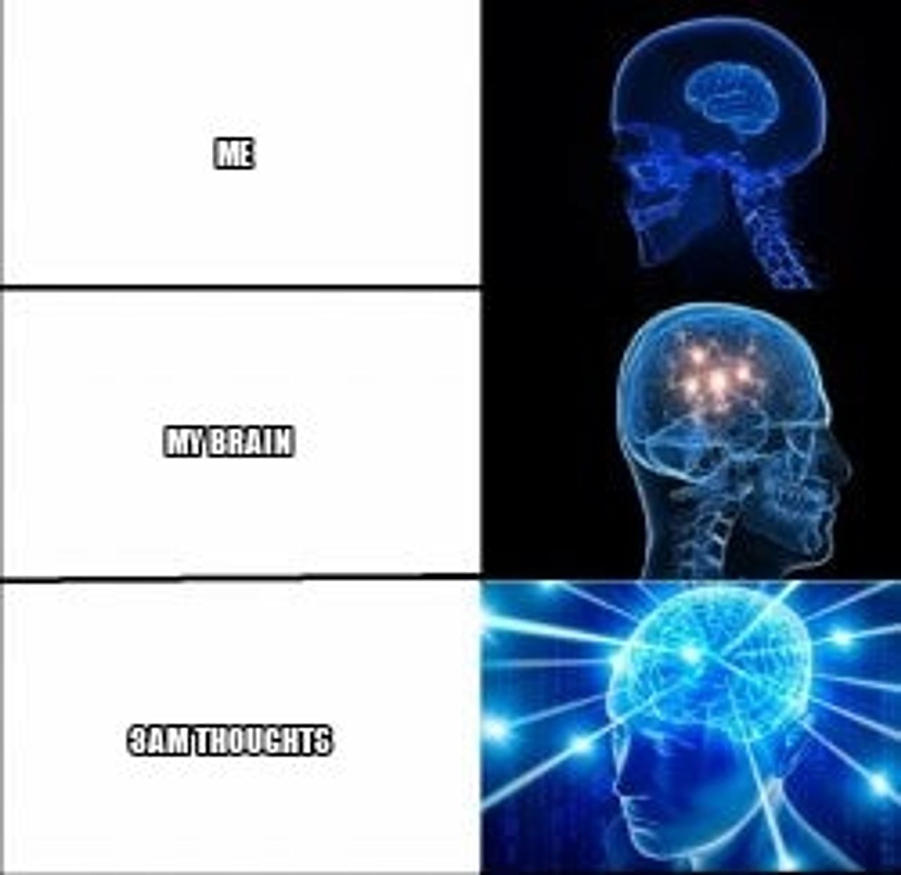 Galaxy Brain (3 brains) seeded example