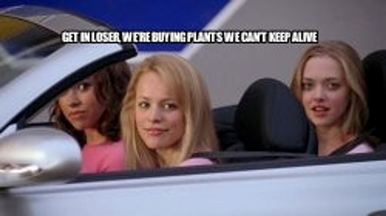 Get in Loser, We're Going Shopping seeded example