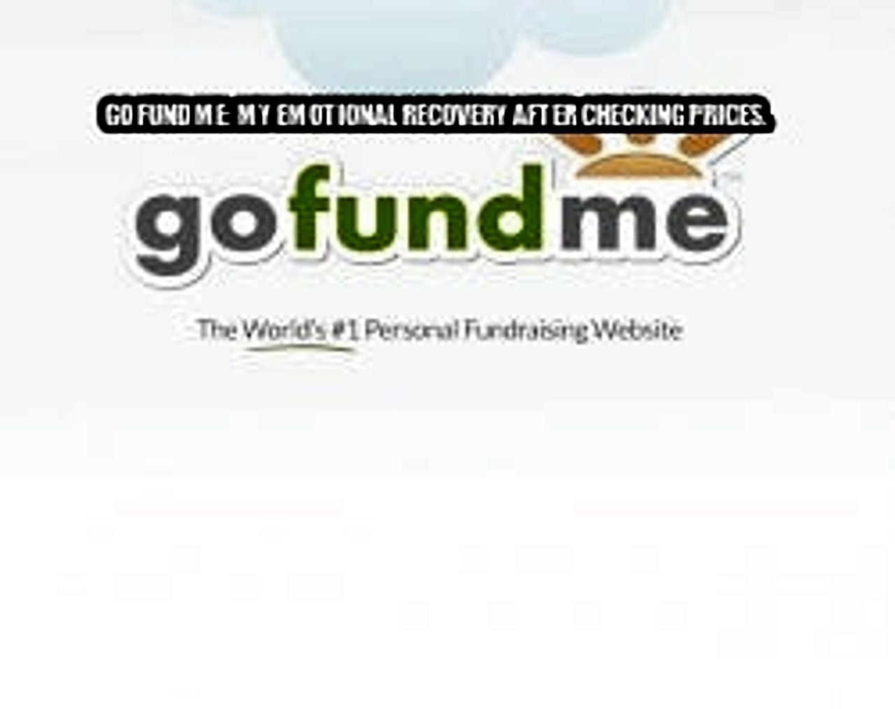 Go Fund Me seeded example