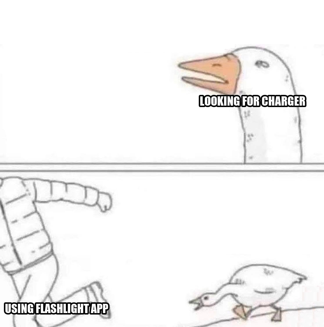 Goose Chase seeded example