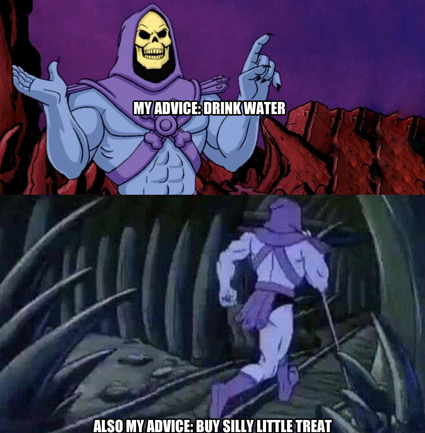 he man skeleton advices seeded example