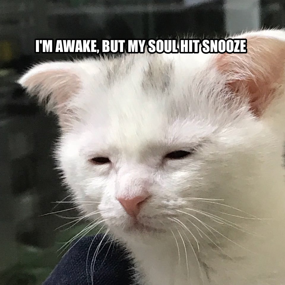 I'm awake, but at what cost? seeded example