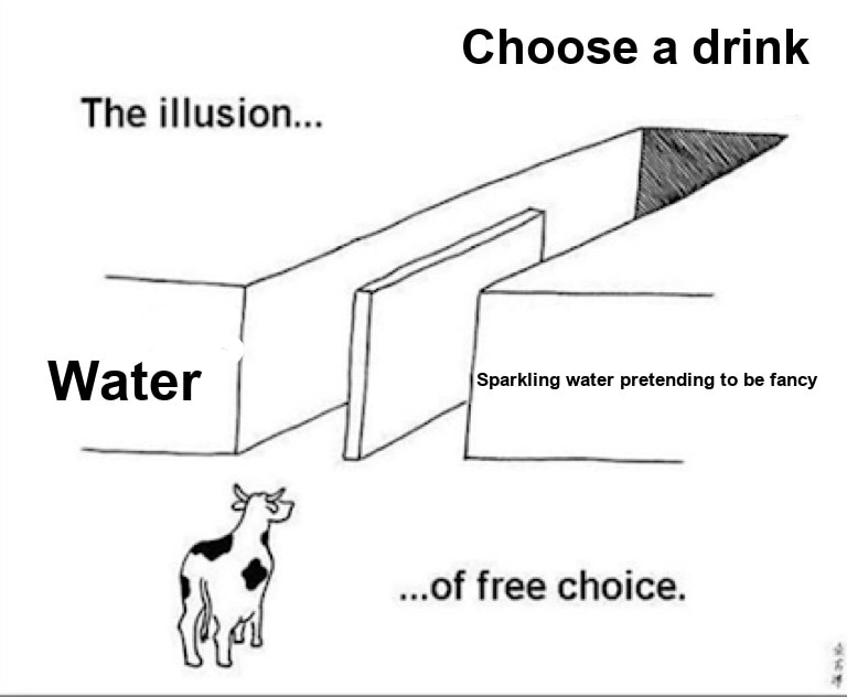 Illusion of free choice seeded example