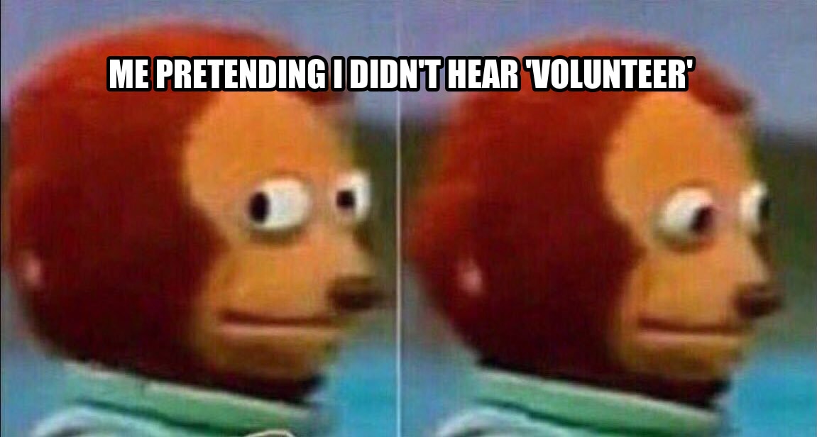 Monkey looking away seeded example