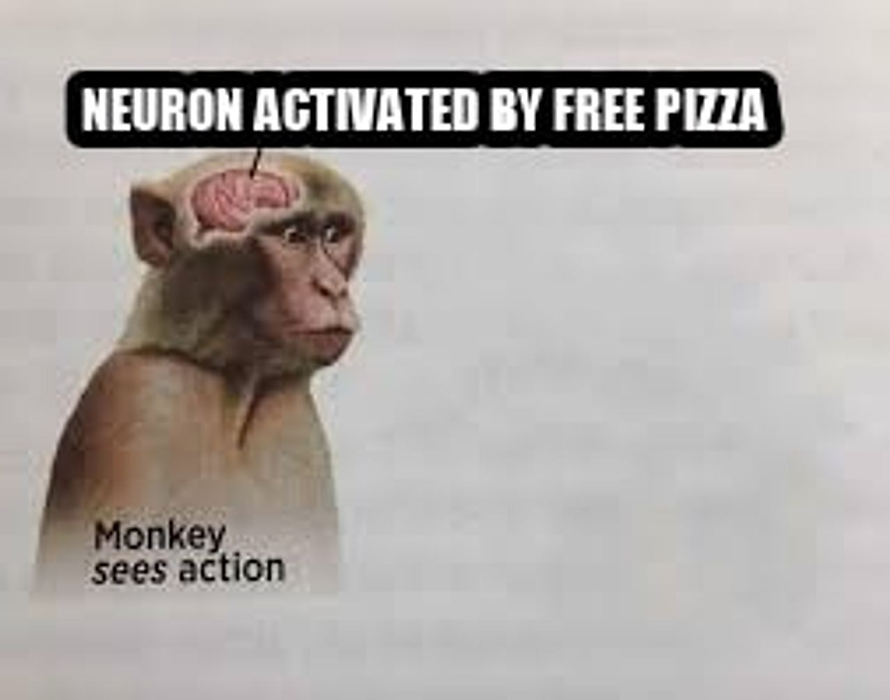 Neuron activation seeded example