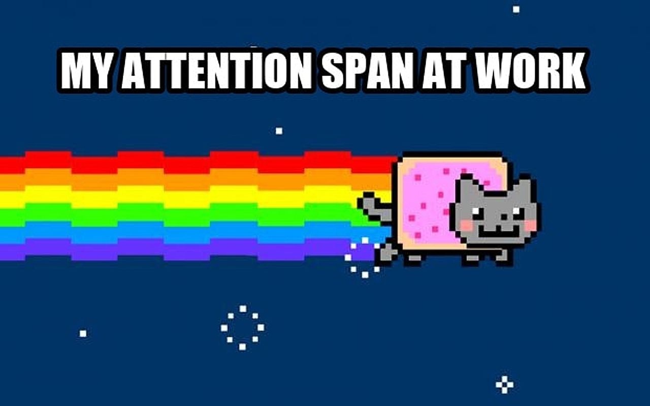 Nyan Cat seeded example