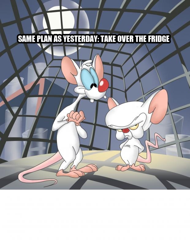 Pinky and the brain seeded example
