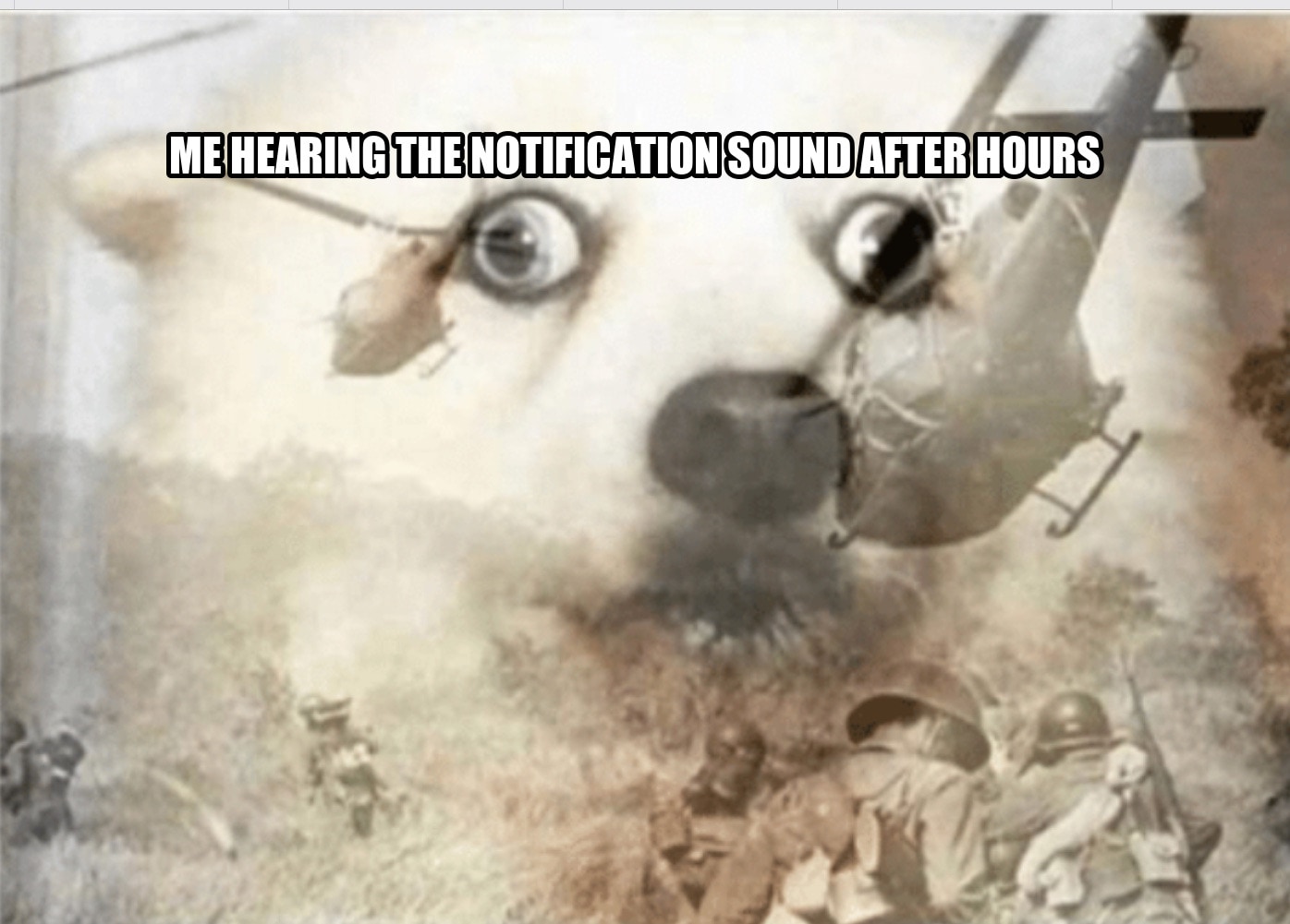 PTSD dog seeded example