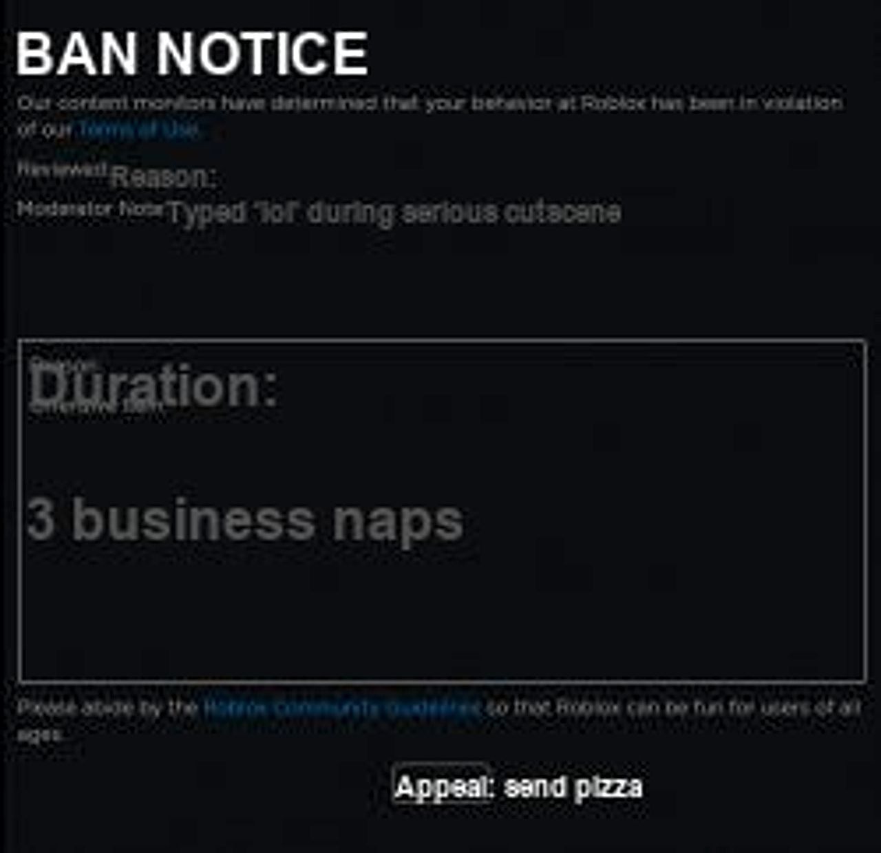 Roblox Ban seeded example