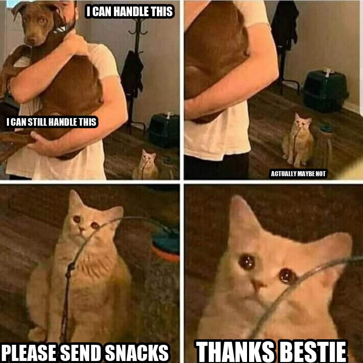 Sad Cat Holding Dog seeded example