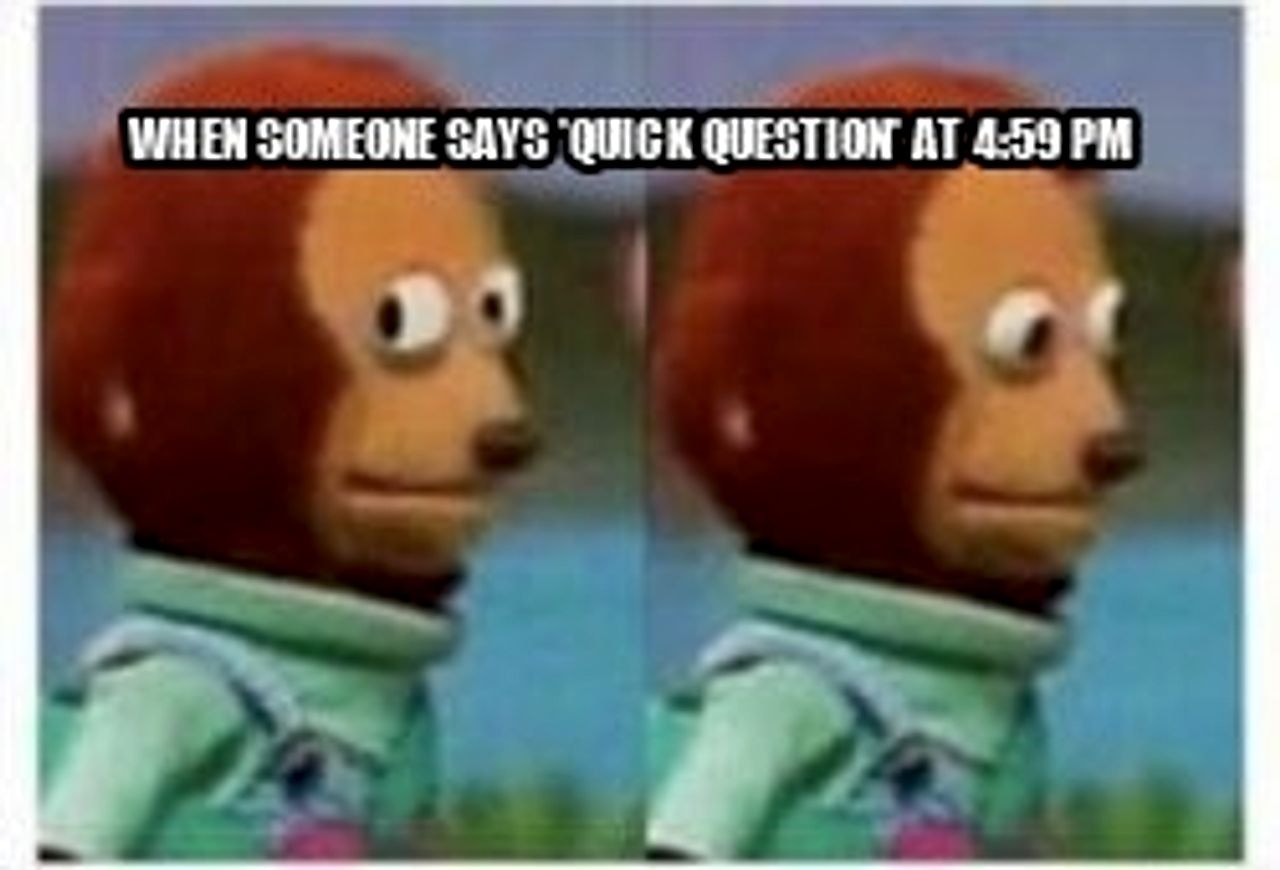 side eye teddy seeded example