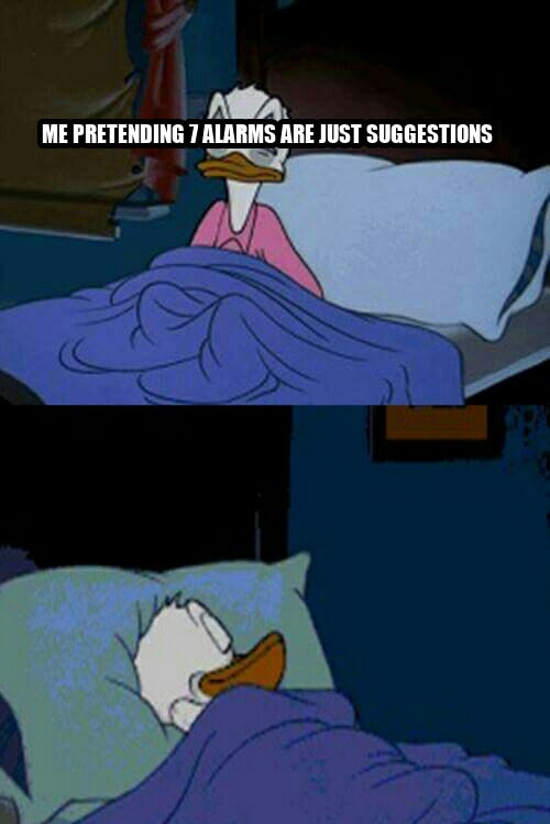 sleepy donald duck in bed seeded example