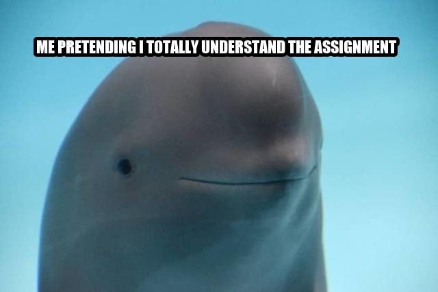 smiling dolphin seeded example