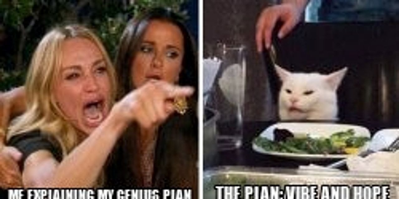 Smudge the cat seeded example