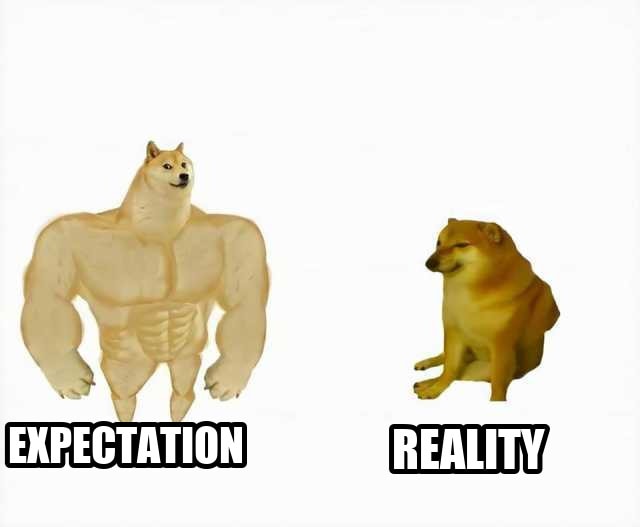 Strong dog vs weak dog seeded example