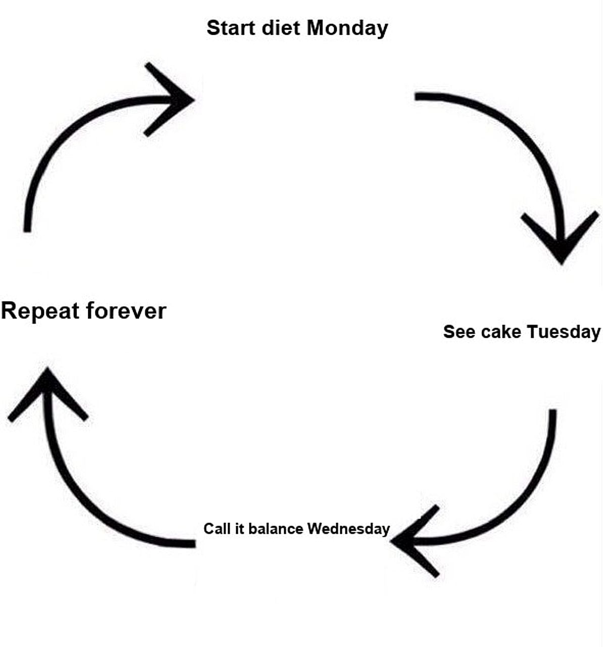 the circle of life seeded example