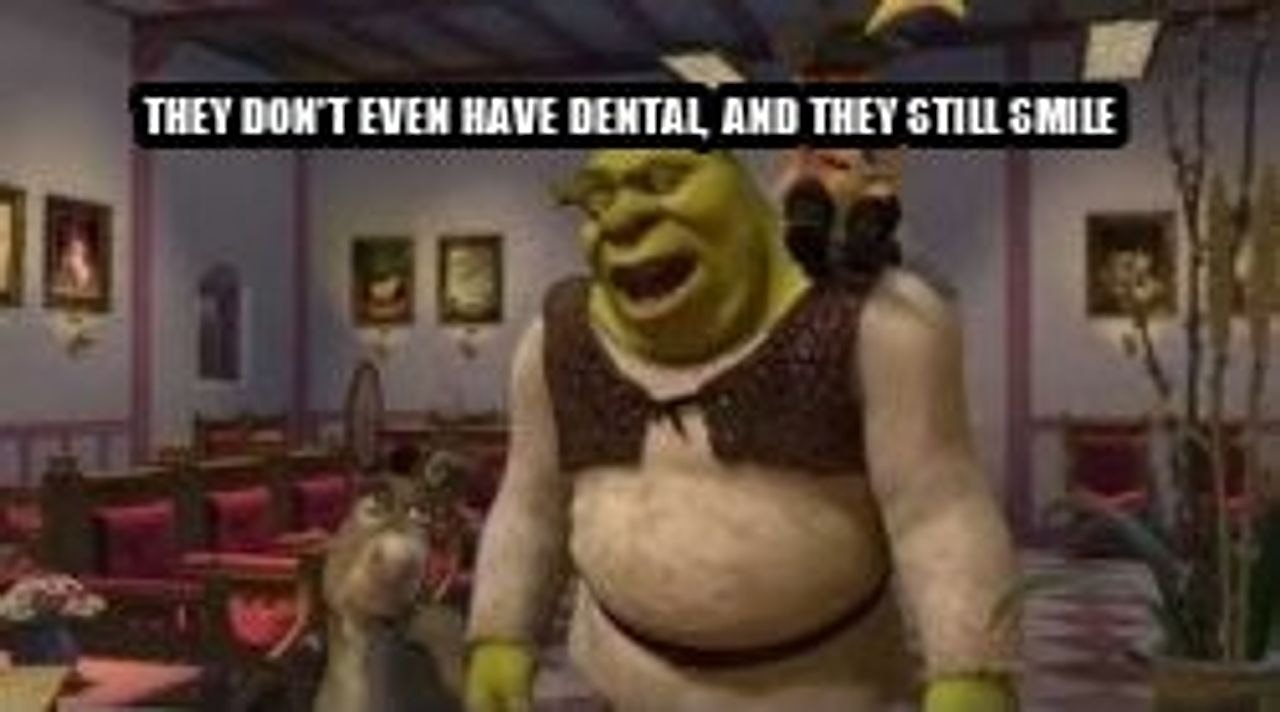 They don't even have dental seeded example