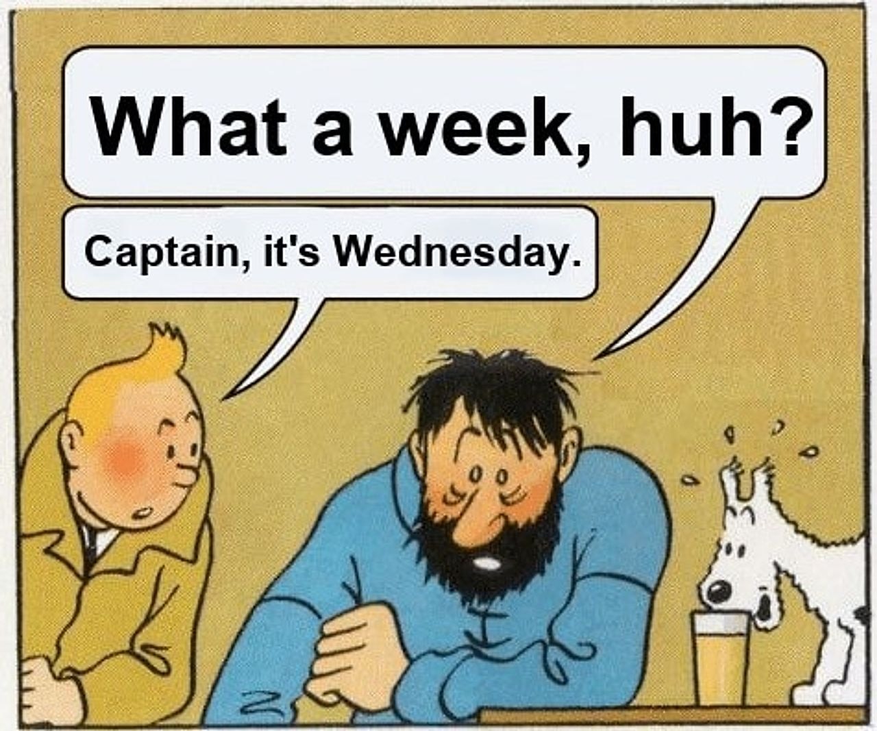 What a week huh? / Captain it’s Wednesday seeded example