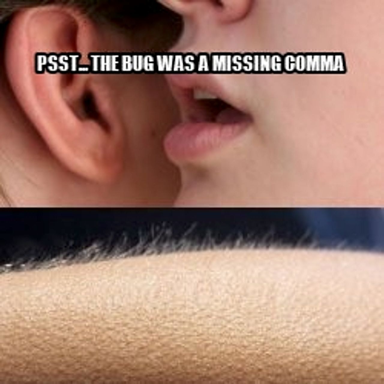 Whisper and Goosebumps seeded example