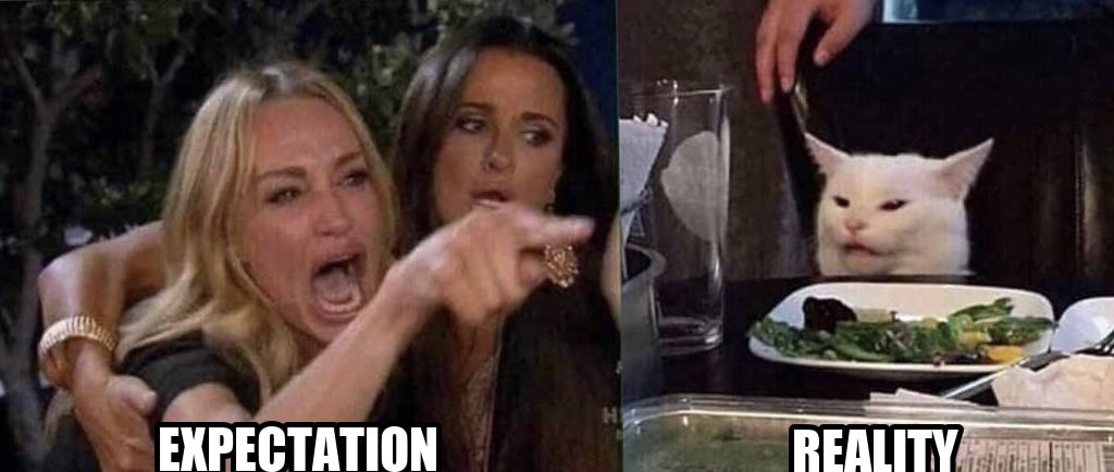 woman yelling at cat seeded example