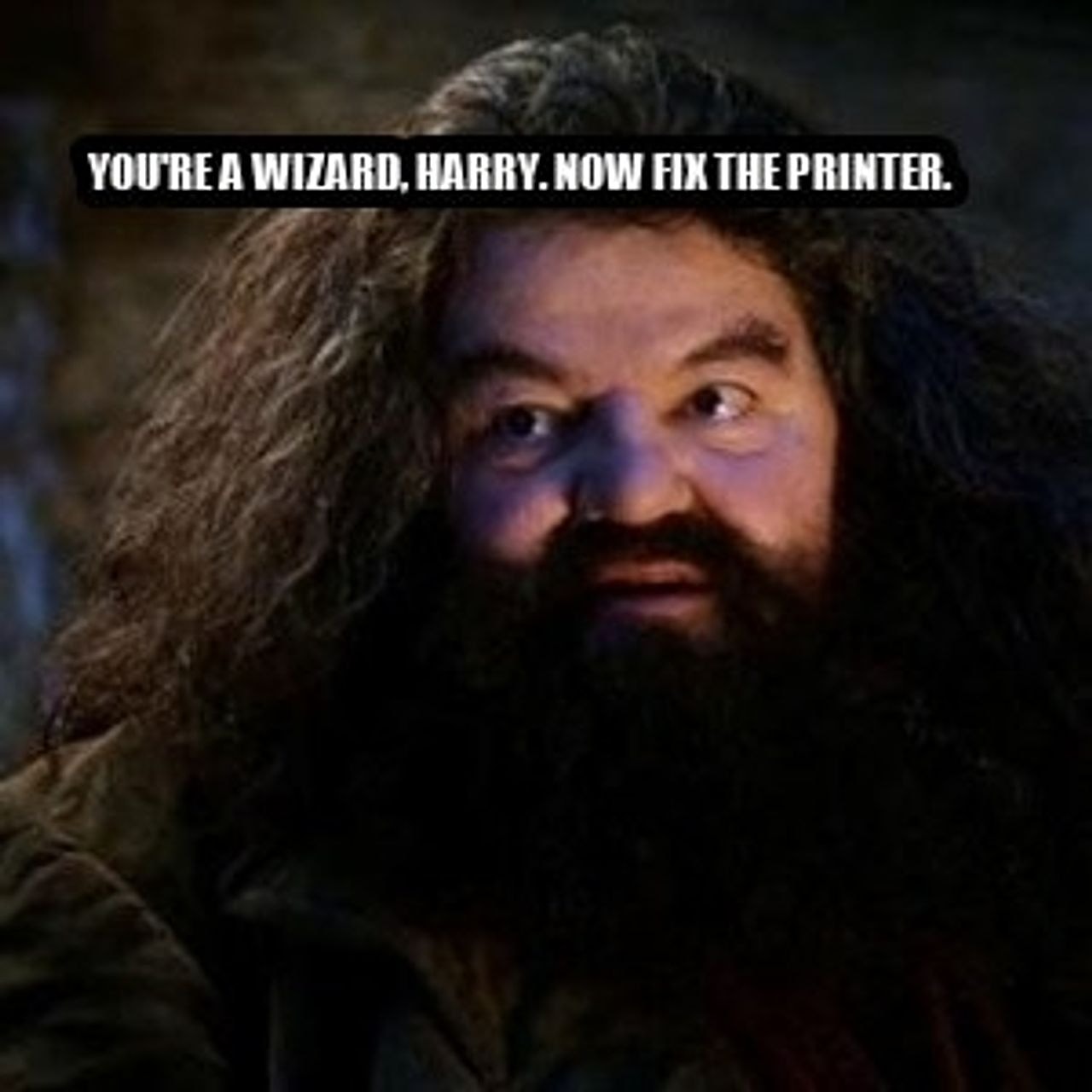 You're a wizard harry seeded example