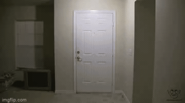 Add text to the Big Bird Kicks Down a Door reaction GIF template in Memesio. Set width, trim the 4.7 second clip, and make a share-ready GIF meme.