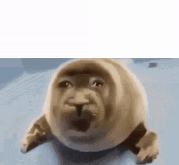 Add text to the Crying Seal reaction GIF template in Memesio. Set width, trim the clip, and make a share-ready GIF meme.
