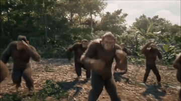 Add text to the Dancing Monkeys reaction GIF template in Memesio. Set width, trim the 3.6 second clip, and make a share-ready GIF meme.