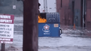 Add text to the Dumpster Fire reaction GIF template in Memesio. Set width, trim the clip, and make a share-ready GIF meme.