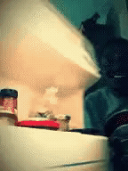 Edit the Fridge Disappointment meme GIF in Memesio. Add top and bottom captions, set width, trim the 5.0 second reaction GIF, and make a share-ready meme.