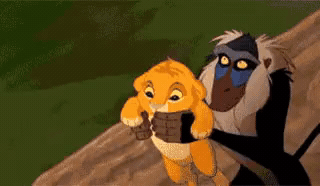 Add text to the Lion King Yeet reaction GIF template in Memesio. Set width, trim the 2.5 second clip, and make a share-ready GIF meme.