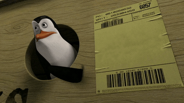 Add text to the Penguin Pointing at Shipping Label reaction GIF template in Memesio. Set width, trim the 0.1 second clip, and make a share-ready GIF meme.