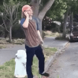 Add text to the So No Head reaction GIF template in Memesio. Set width, trim the clip, and make a share-ready GIF meme.