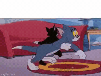 Add text to the Tom & Jerry Searching reaction GIF template in Memesio. Set width, trim the clip, and make a share-ready GIF meme.